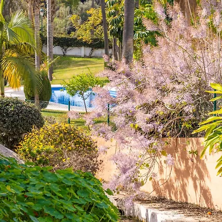 Palmas 21c Oasis شقة