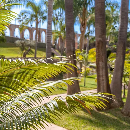 Palmas 21c Oasis Apartman *