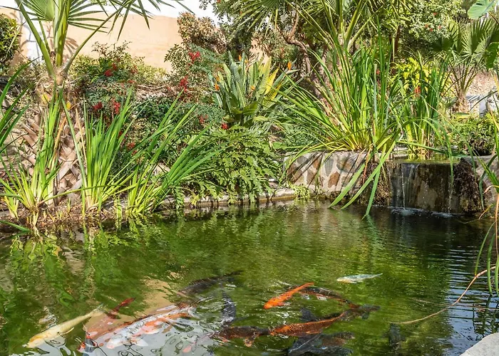 Palmas 21c Oasis * Нерха