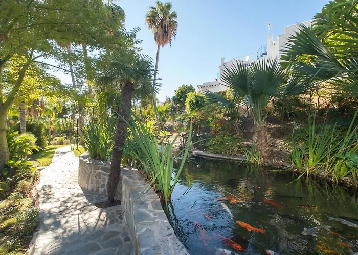 Апартаменты Palmas 21c Oasis *