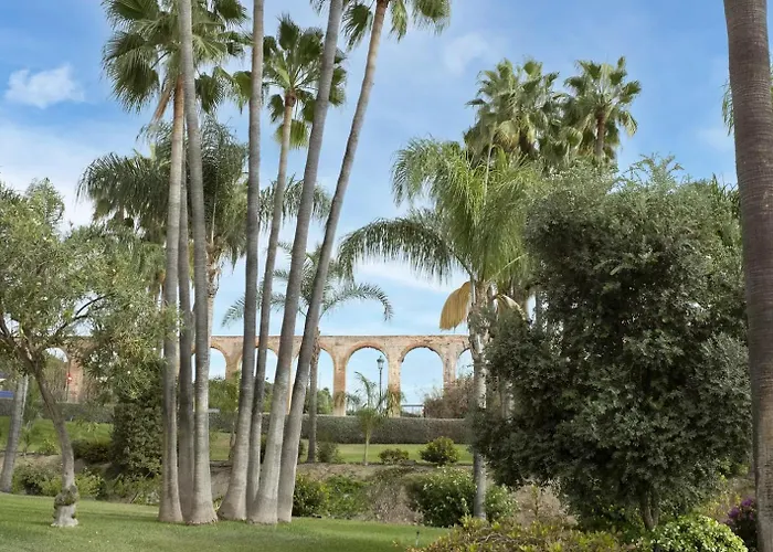 Апартаменты Palmas 21c Oasis