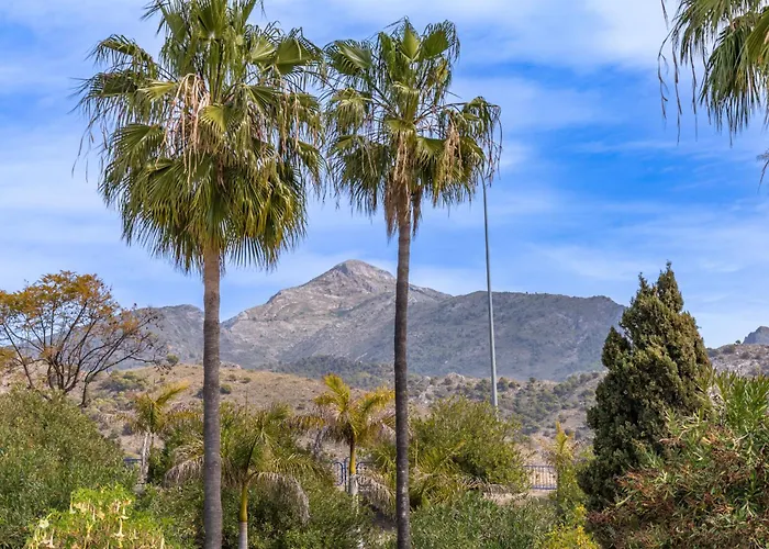 Palmas 21c Oasis Apartamento