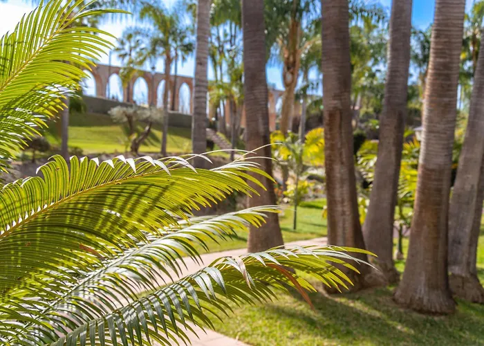 Palmas 21c Oasis Апартаменты *